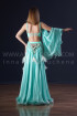 Professional bellydance costume (classic 207a)